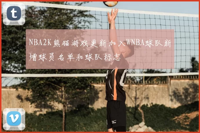 NBA2K熊猫游戏更新加入WNBA球队新增球员名单和球队标志