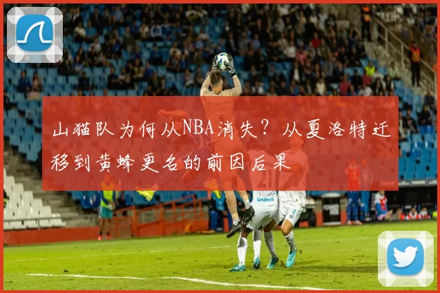 山猫队为何从NBA消失？从夏洛特迁移到黄蜂更名的前因后果