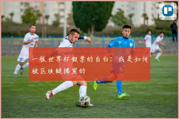 一张世界杯假票的自白:我是如何被区块链揭穿的