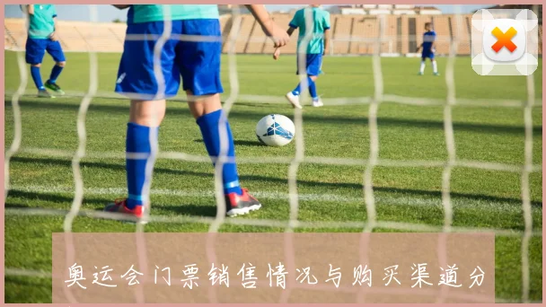 奥运会门票销售情况与购买渠道分析