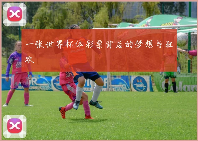 一张世界杯体彩票背后的梦想与狂欢