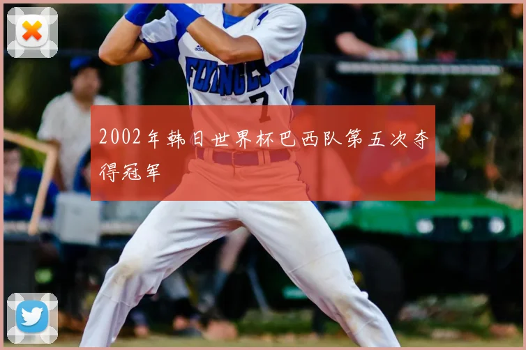 2002年韩日世界杯巴西队第五次夺得冠军