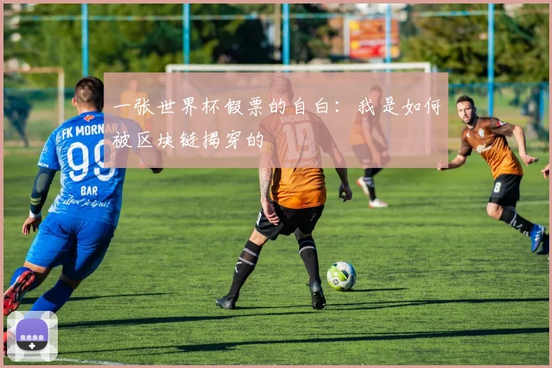 一张世界杯假票的自白:我是如何被区块链揭穿的