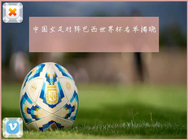 中国女足对阵巴西世界杯名单揭晓